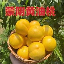 沂蒙山原产地黄油蜜桃，蟠桃，一手贷源，量大从优，欢迎来电