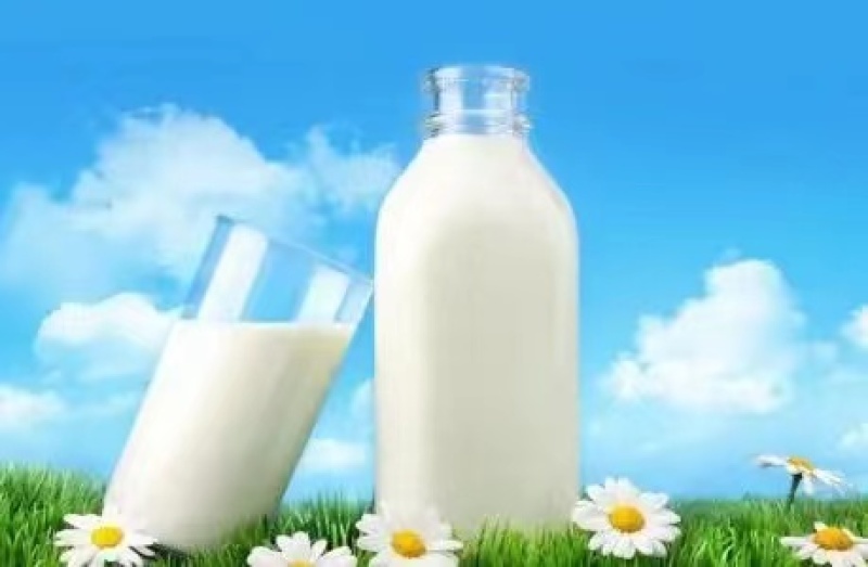 纯鲜牛奶生鲜乳质量保证河北客户欢迎上门采购