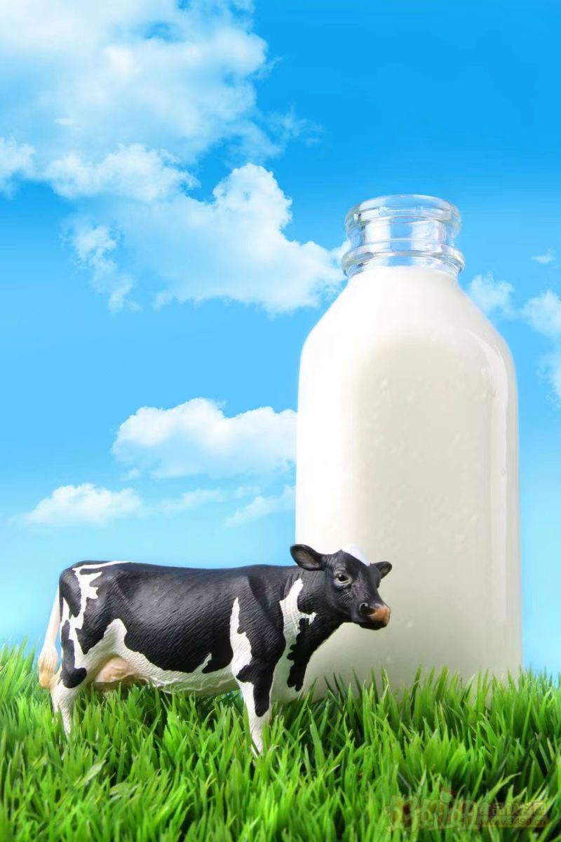 纯鲜牛奶生鲜乳质量保证河北客户欢迎上门采购