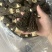 7到12大个羊肚菌产地一手货源量大从优