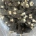 7到12大个羊肚菌产地一手货源量大从优