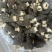 7到12大个羊肚菌产地一手货源量大从优