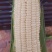 鲜玉米