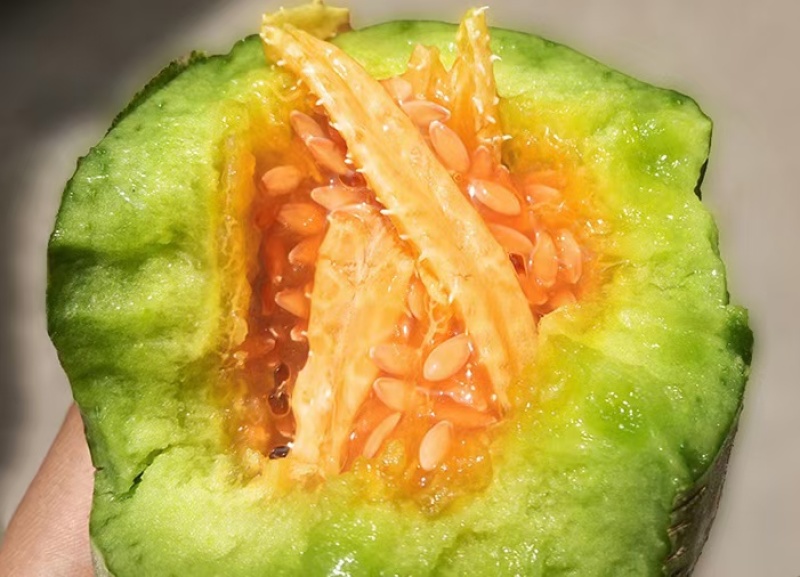 甜瓜博洋甜瓜博洋9博洋91甜瓜羊角蜜大量上市，质优量足