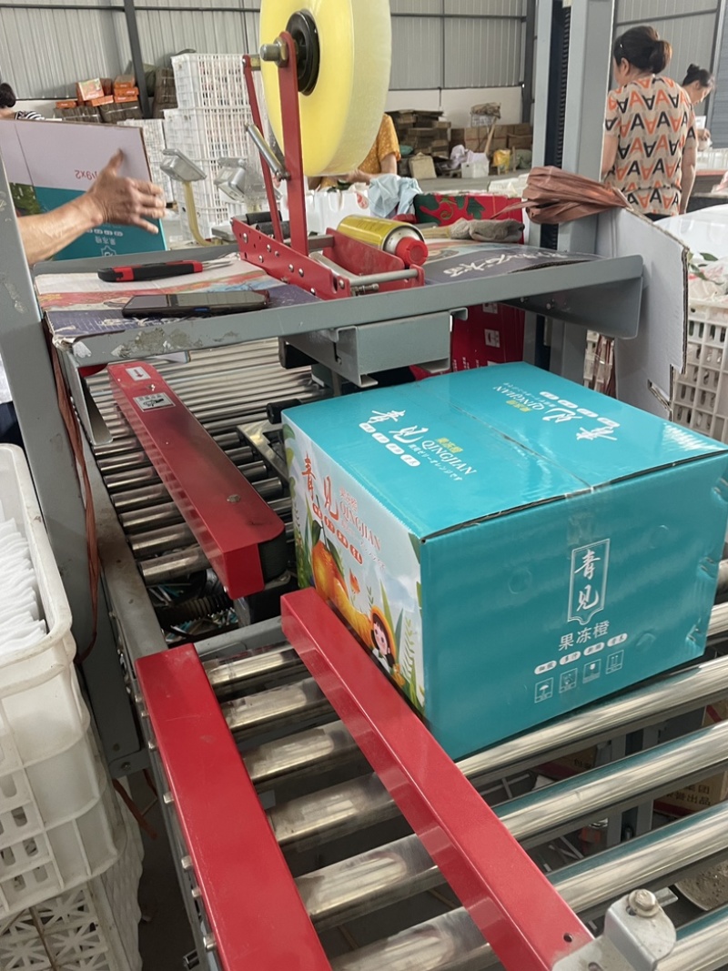眉山套袋青见大量上市，精品果，支持微电商平台一件代发合作