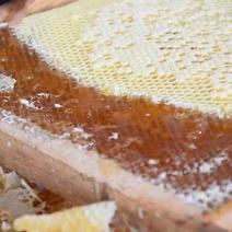 【土蜂蜜】大山深处农家养殖质量保证货源充足欢迎订购
