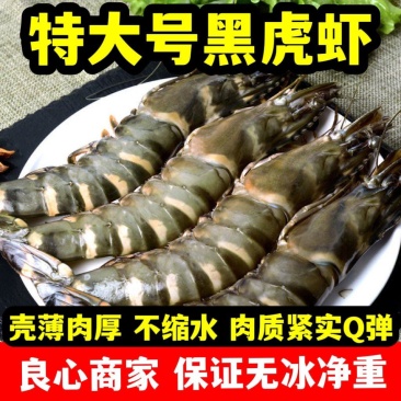 黑虎虾特大号新鲜超大无冰衣海水大对虾活虾速冻