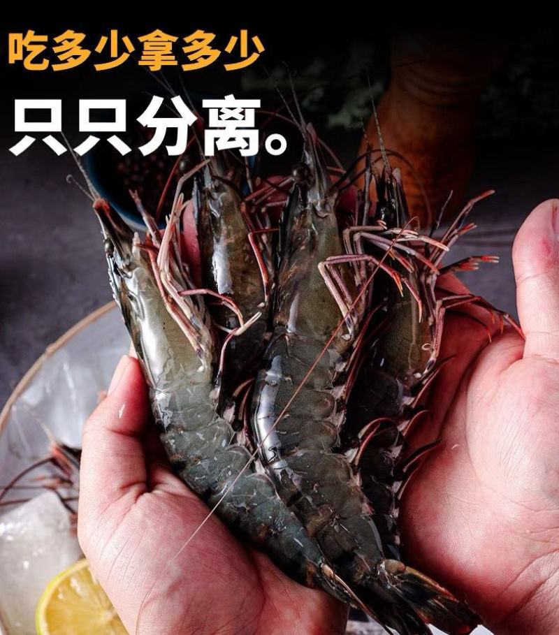 黑虎虾特大号新鲜超大无冰衣海水大对虾活虾速冻