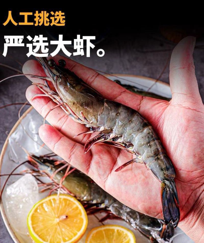 黑虎虾特大号新鲜超大无冰衣海水大对虾活虾速冻