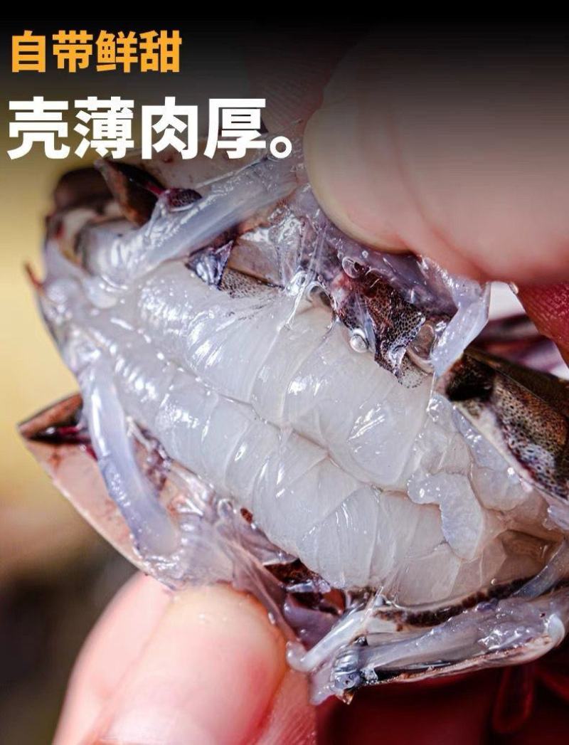 黑虎虾特大号新鲜超大无冰衣海水大对虾活虾速冻