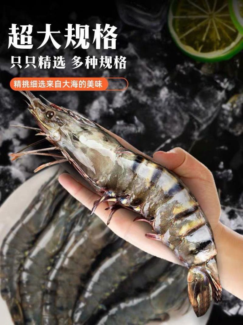 黑虎虾特大号新鲜超大无冰衣海水大对虾活虾速冻