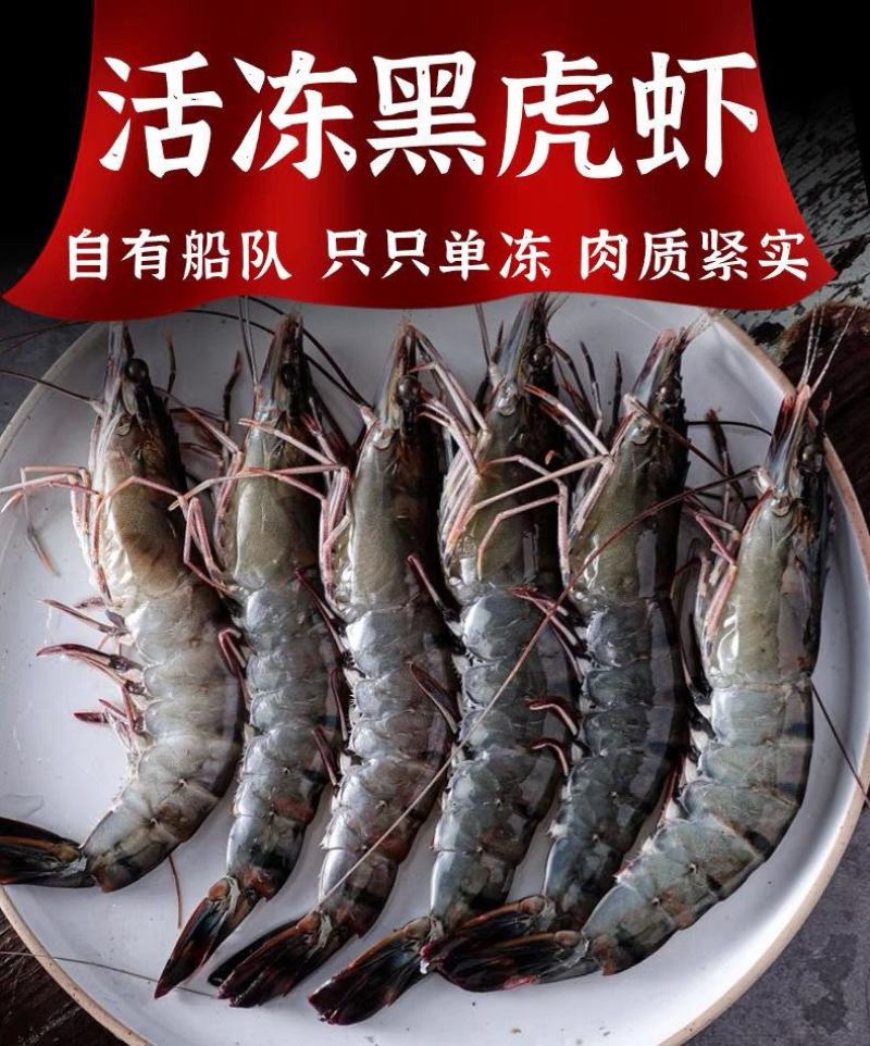黑虎虾特大号新鲜超大无冰衣海水大对虾活虾速冻