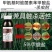 银农农舟行-5%甲维盐甜菜菜蛾豇豆蓟马农药杀虫剂