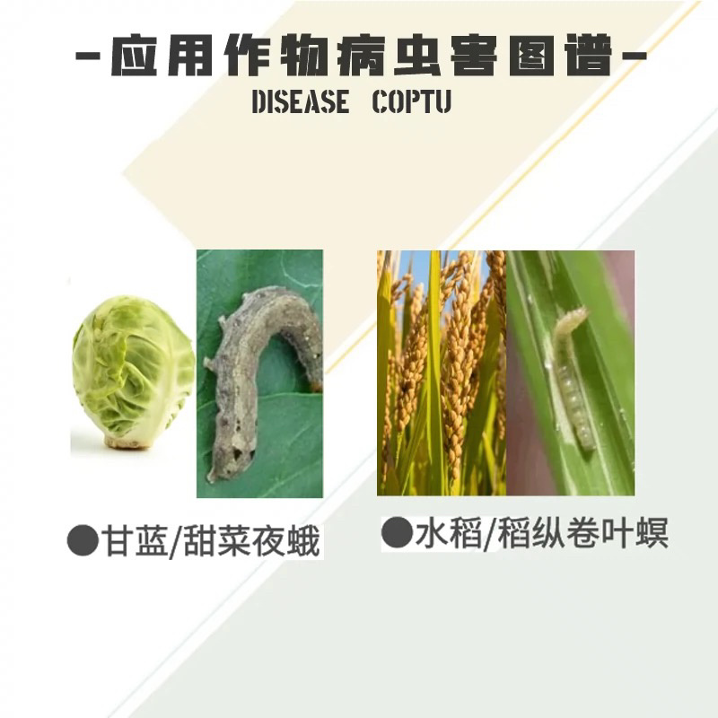 银农农舟行-5%甲维盐甜菜菜蛾豇豆蓟马农药杀虫剂