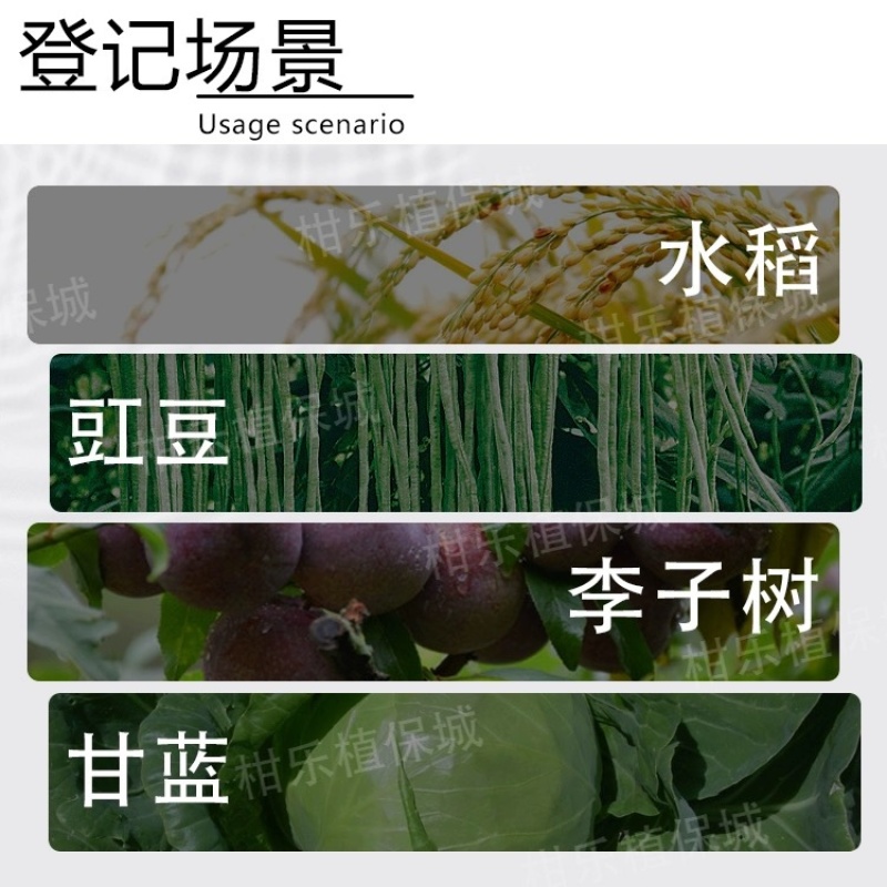 银农农舟行-5%甲维盐甜菜菜蛾豇豆蓟马农药杀虫剂