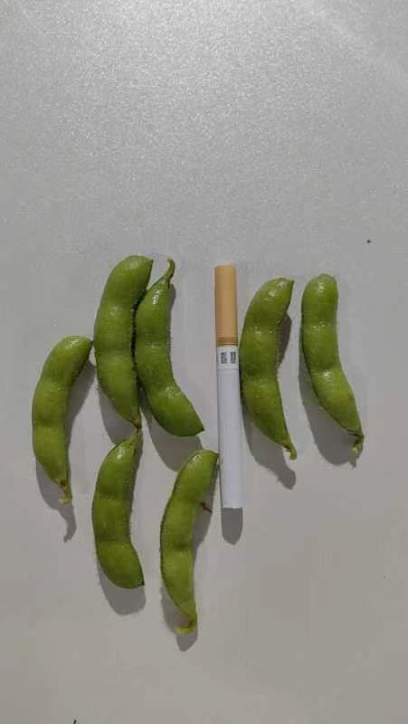 毛豆