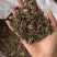 威灵仙老虎须保庆药业批发威灵仙正品净货不掺假