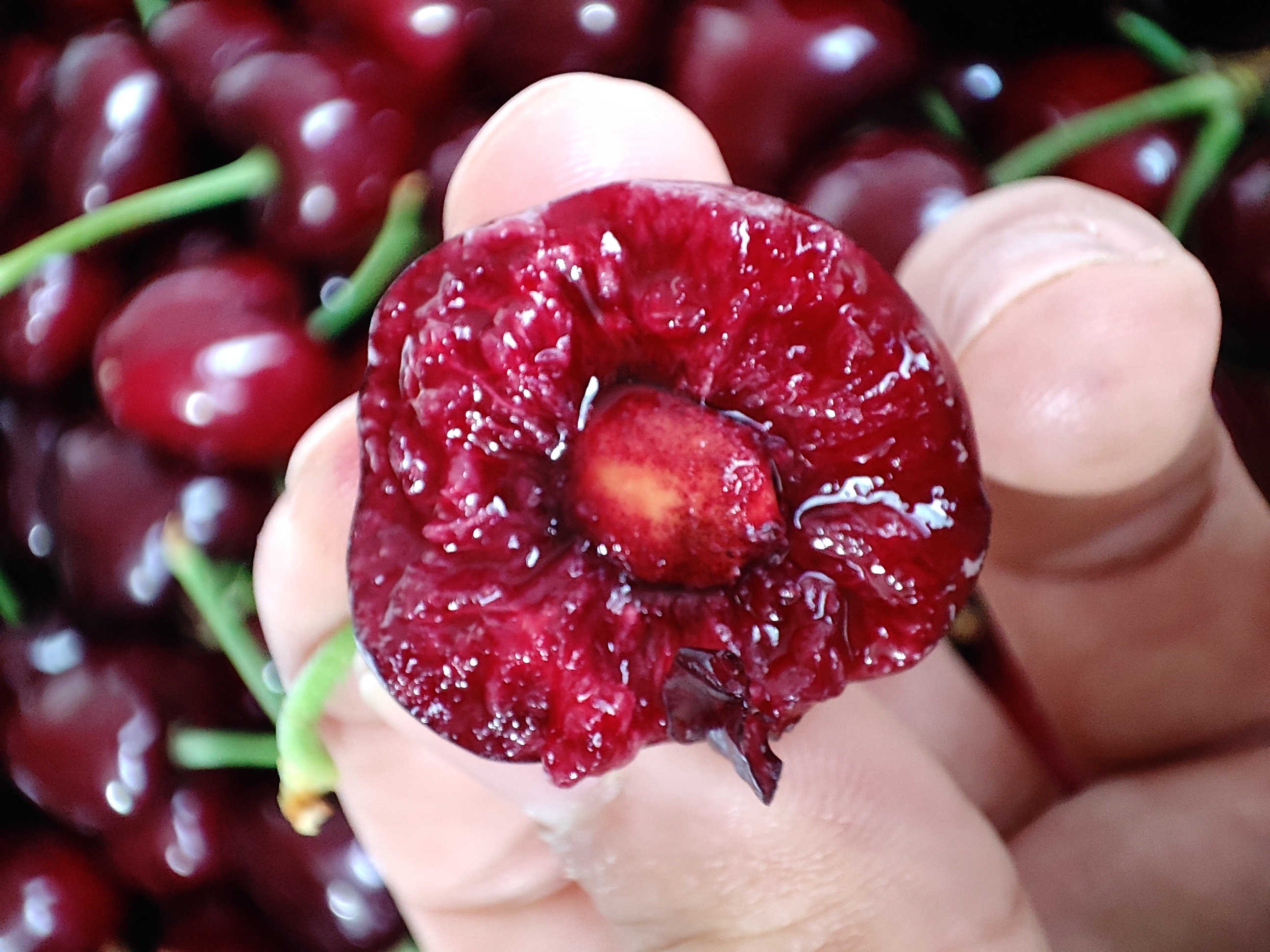 樱桃解冻过程展示