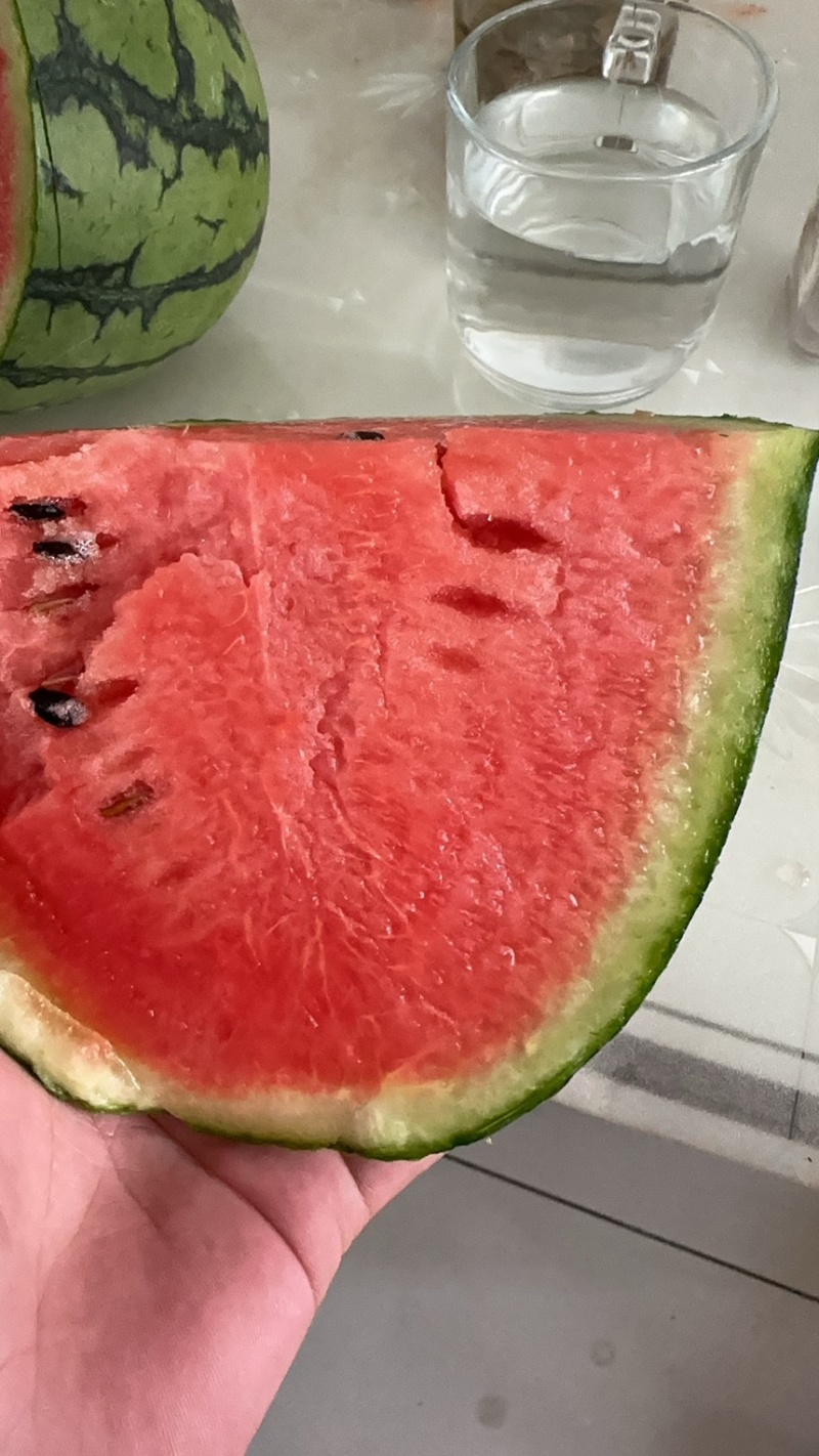 冰糖翠玉小西瓜