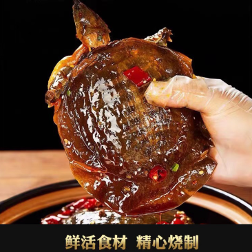 麻辣卤甲鱼