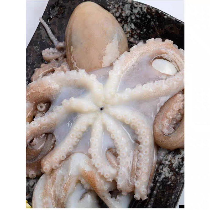 章鱼八爪鱼冻板原浆八爪鱼海鲜冷冻原浆无处理一件20斤