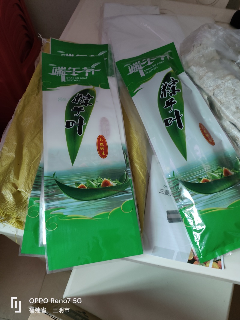 来自闽西山上野生棕叶