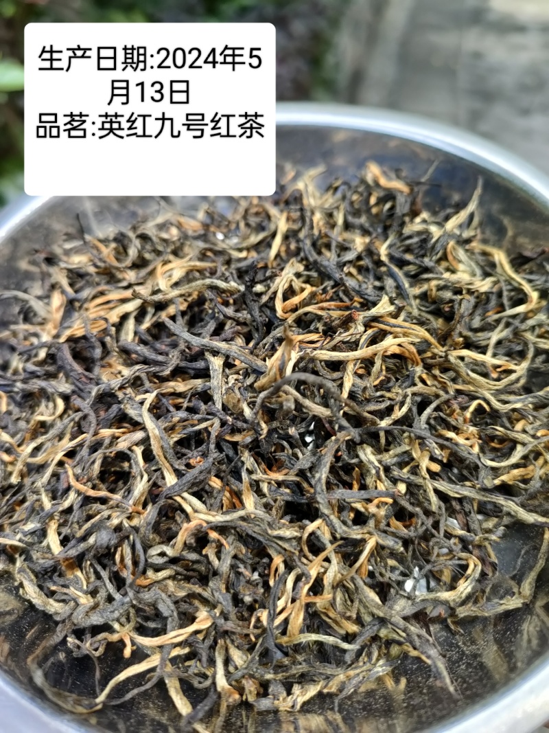 英德红茶—英红九号红茶红茶一件可发货