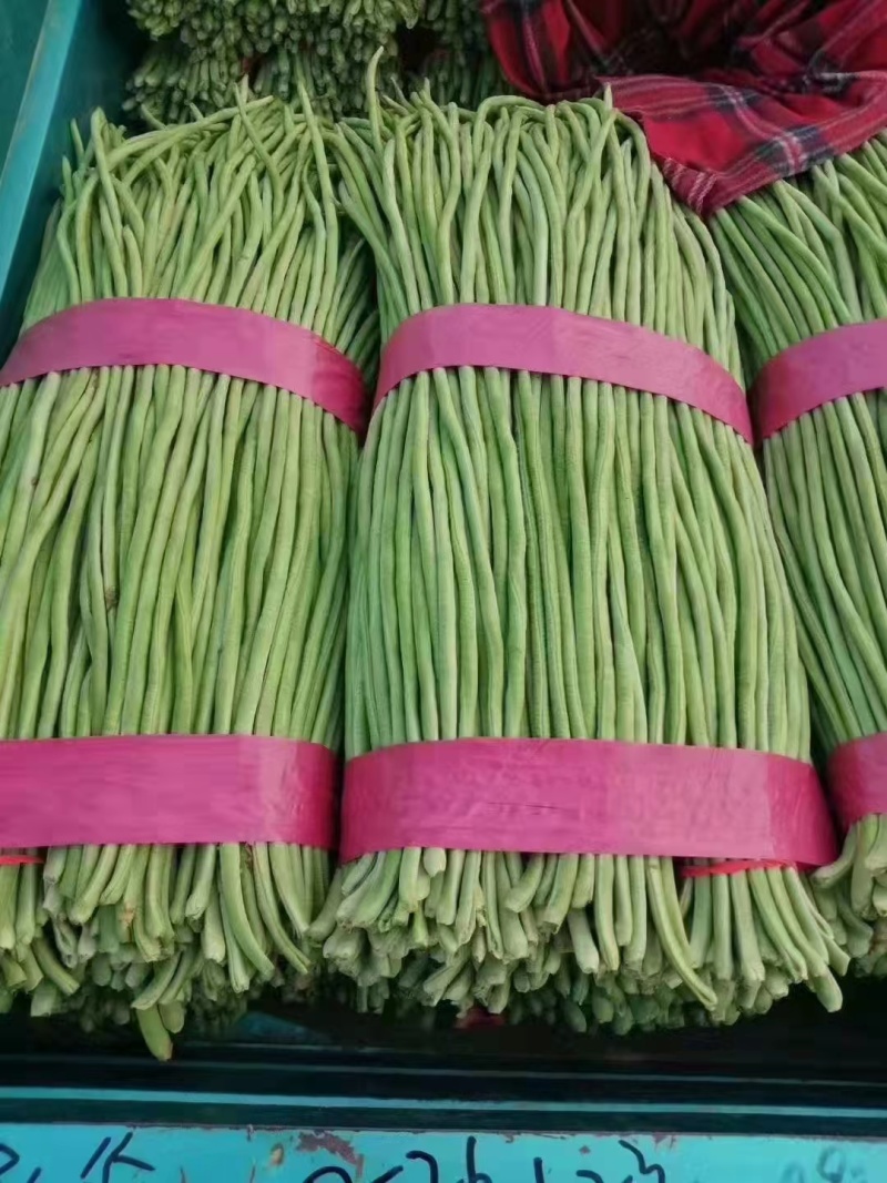 精品长豆角，现摘现发，基地直供，货源充足，价格美丽，视频看货