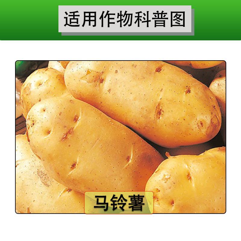 苄氨基嘌呤氯化胆碱马铃薯壮果膨提高产量生长调节剂