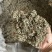 翻白草实拍发货前过筛翻白草正品现货