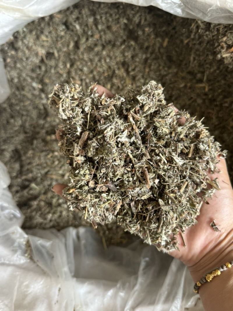 翻白草实拍发货前过筛翻白草正品现货