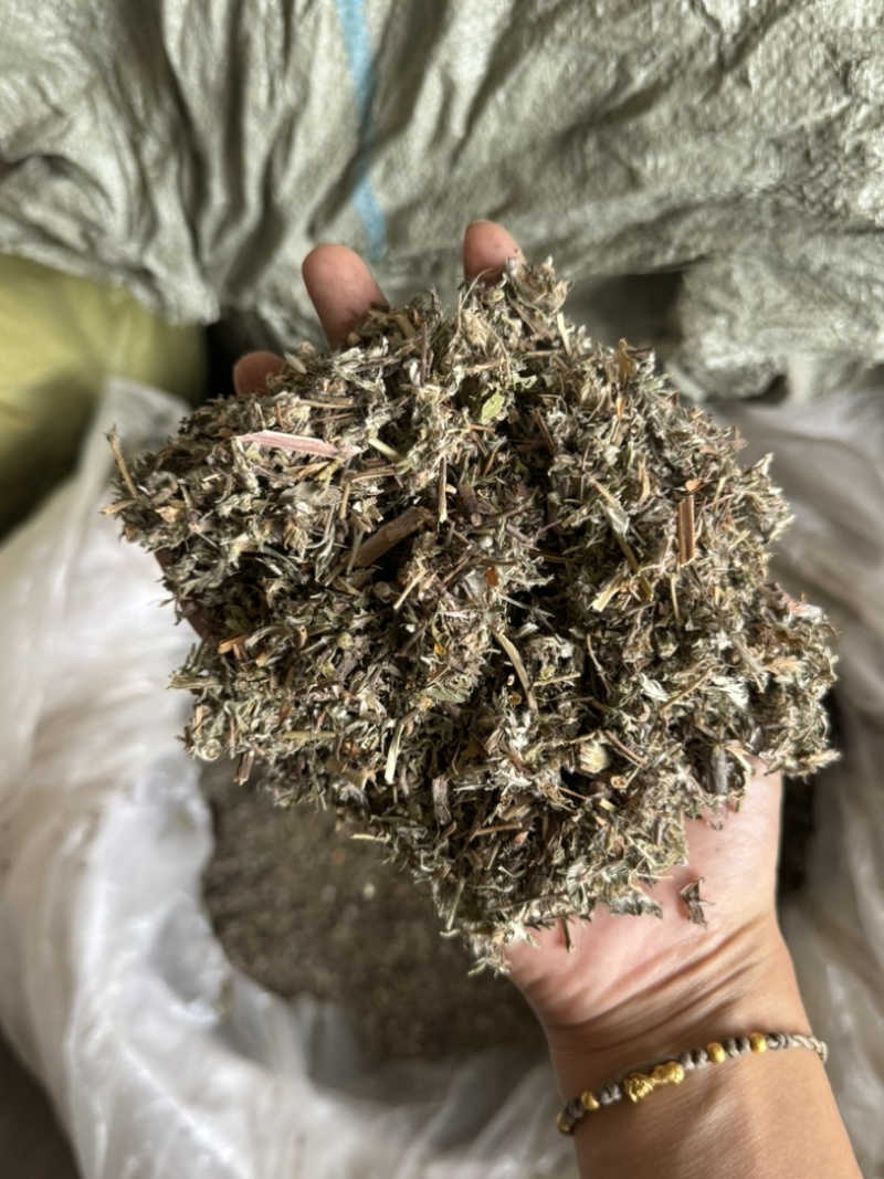 翻白草实拍发货前过筛翻白草正品现货