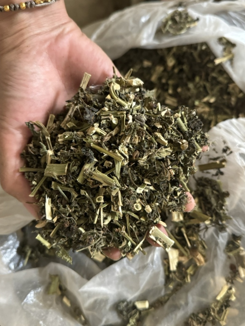 龙葵天葵草天茄子实拍发货如图颜色青