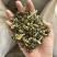 龙葵天葵草天茄子实拍发货如图颜色青