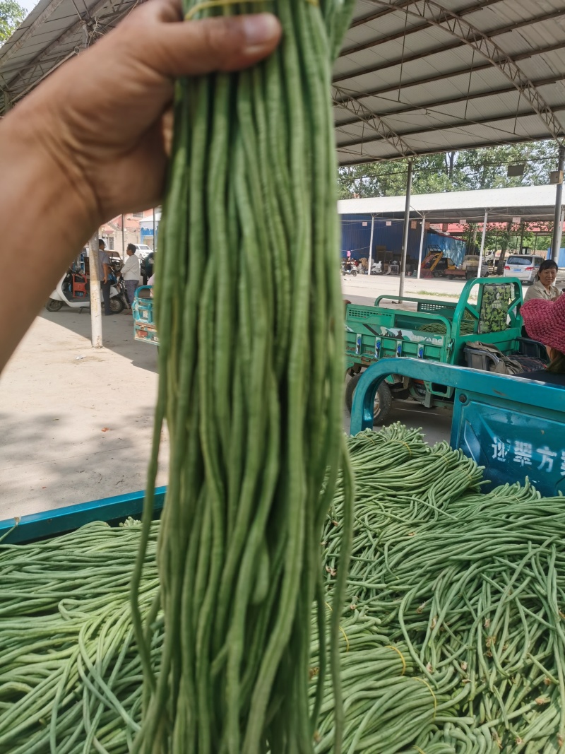 热卖推荐青条豆角对接电商市场商超可视频看货保质量