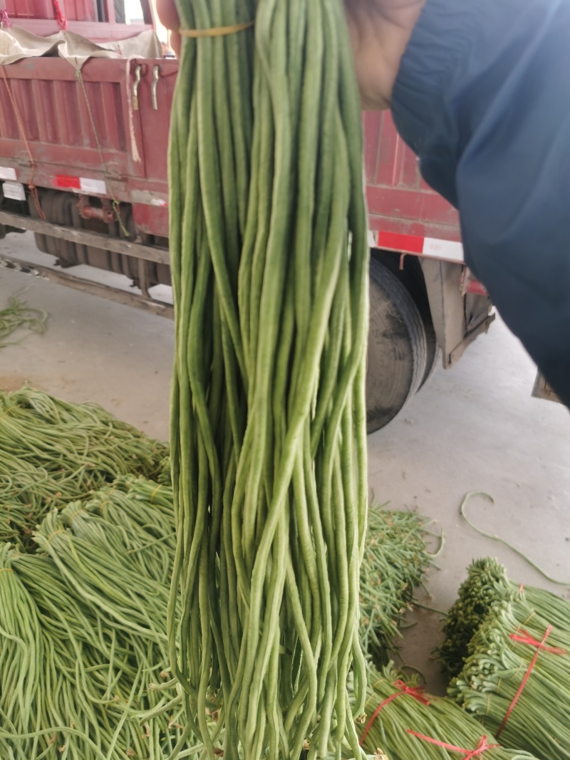 热卖推荐青条豆角对接电商市场商超可视频看货保质量