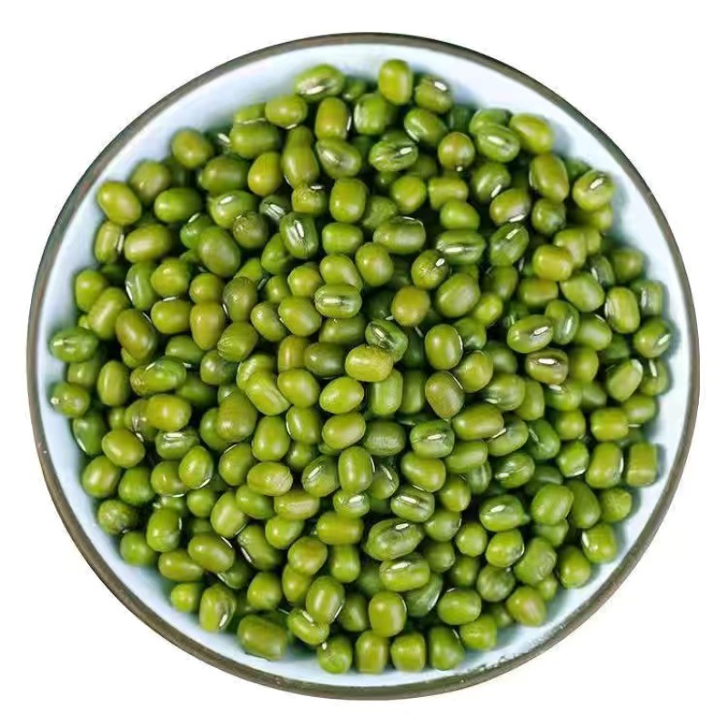 大绿豆新货精选无铁豆质量好价格美丽量大从优