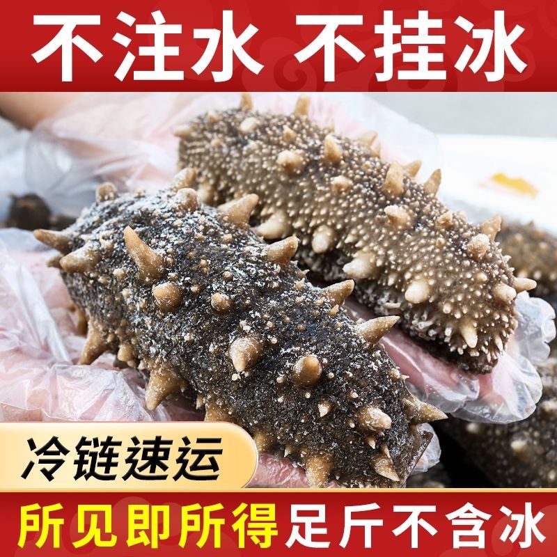 即食海参大连海参8-3只一斤大连刺参辽参工厂直发一件代发