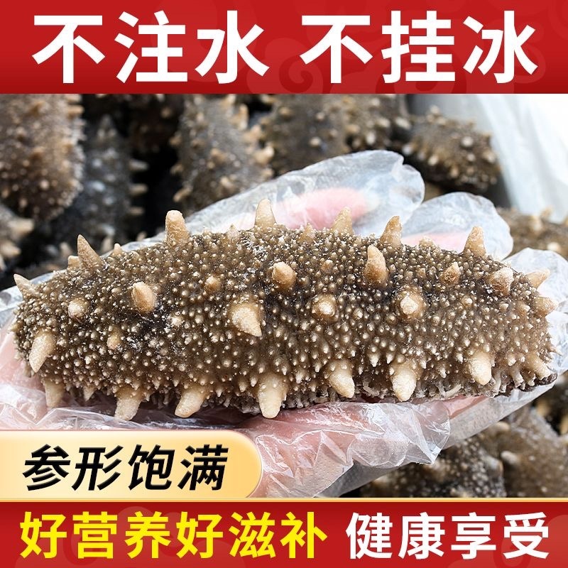 即食海参大连海参8-3只一斤大连刺参辽参工厂直发一件代发