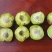 李子，半边红，五月脆，小脆红，青脆李