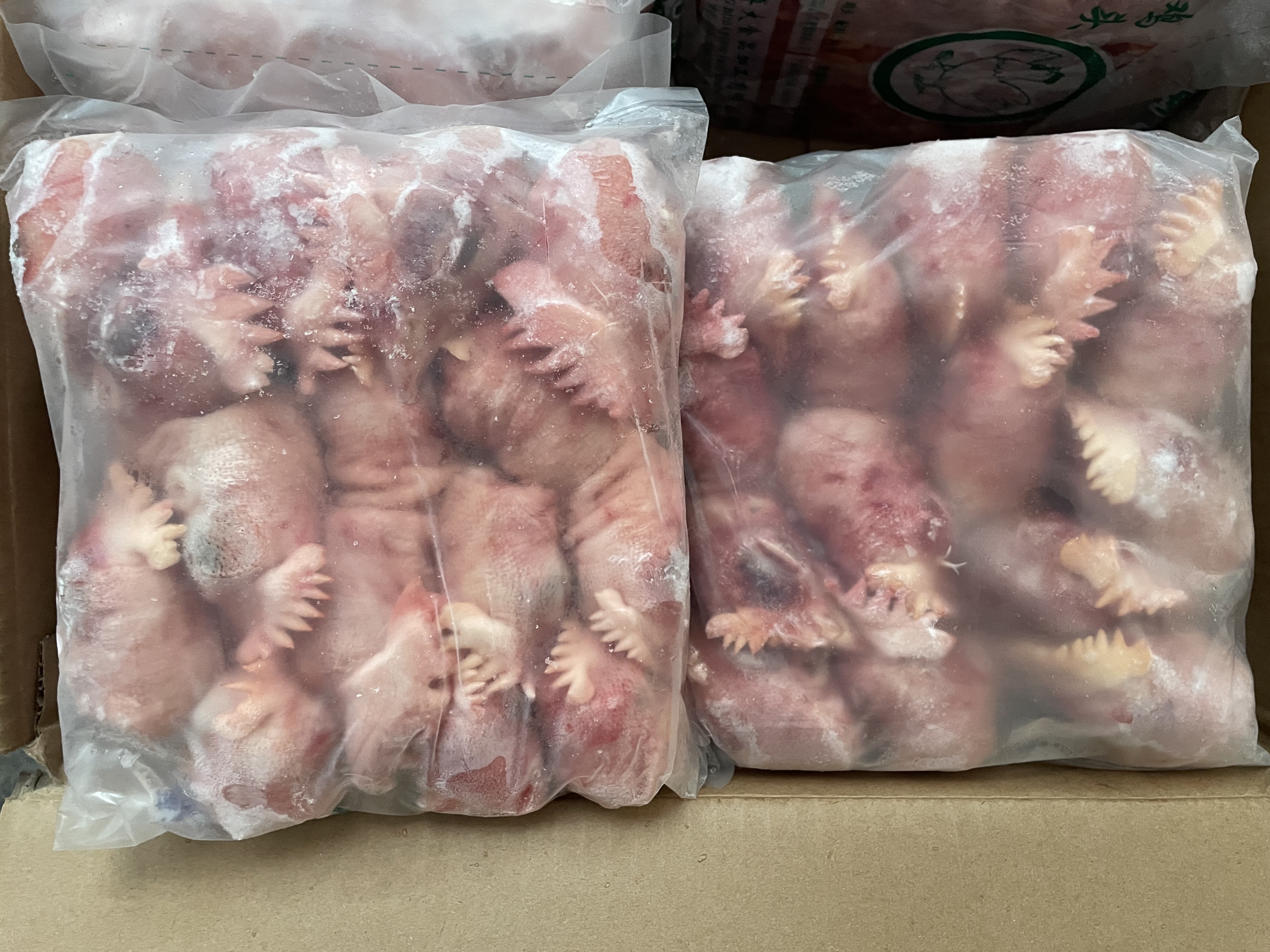鸡头参不同保存阶段对比图