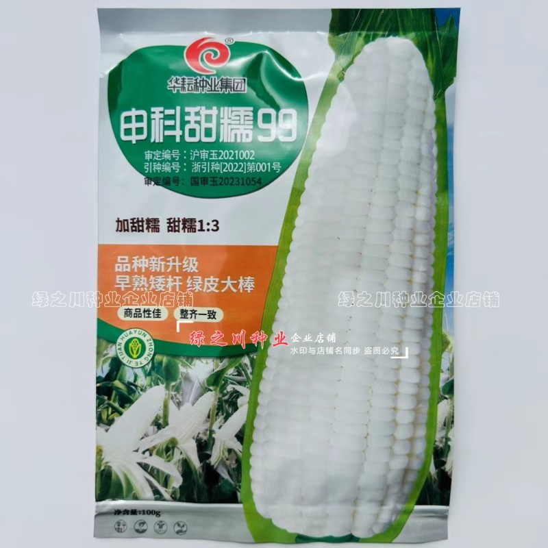 申科甜糯99早熟矮杆大棒甜糯玉米种子加甜糯白玉米种籽