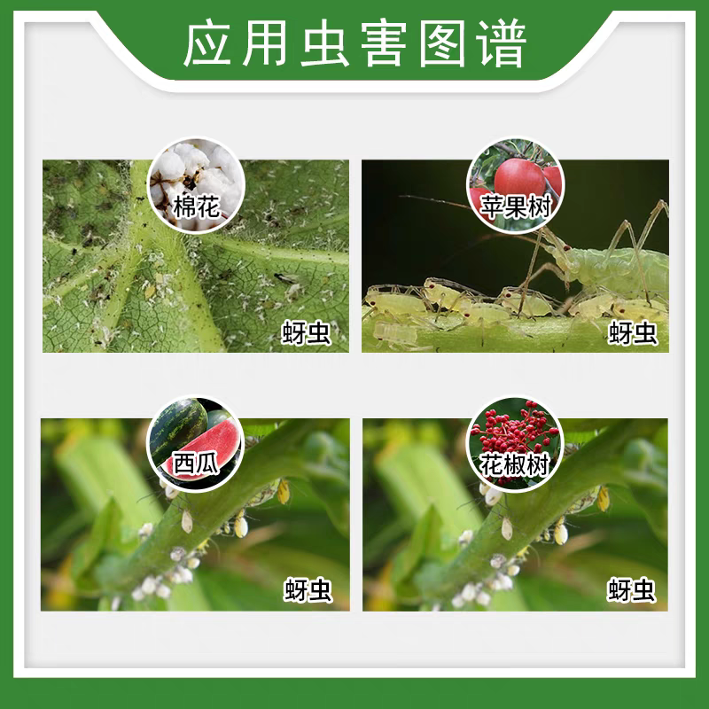 日本石原力作46%氟啶·啶虫脒蚜虫黄蚜抗性蚜虫