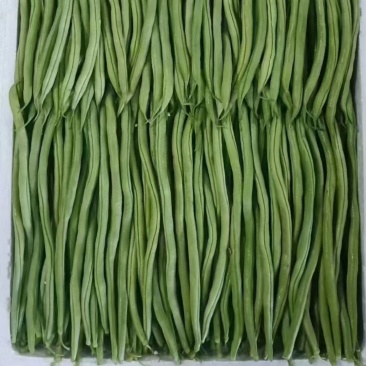 架豆王芸豆精品架豆王豆角无筋豆甘肃豆王无丝豆