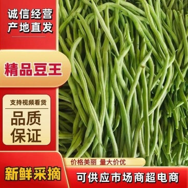 无筋豆无丝豆架豆王干豆角脱水豆角豆王