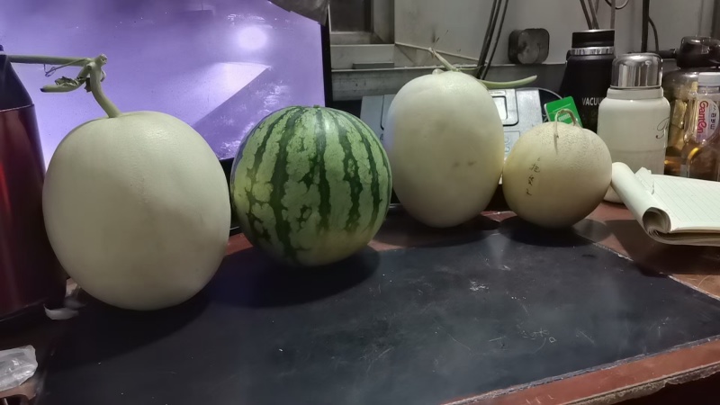 白甜瓜，甜红玉甜瓜找马斌！！小白瓜质量好价格便宜！货源足