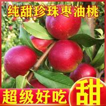 【推荐】珍珠枣油桃上市，脆甜、离核，冷链全国市场
