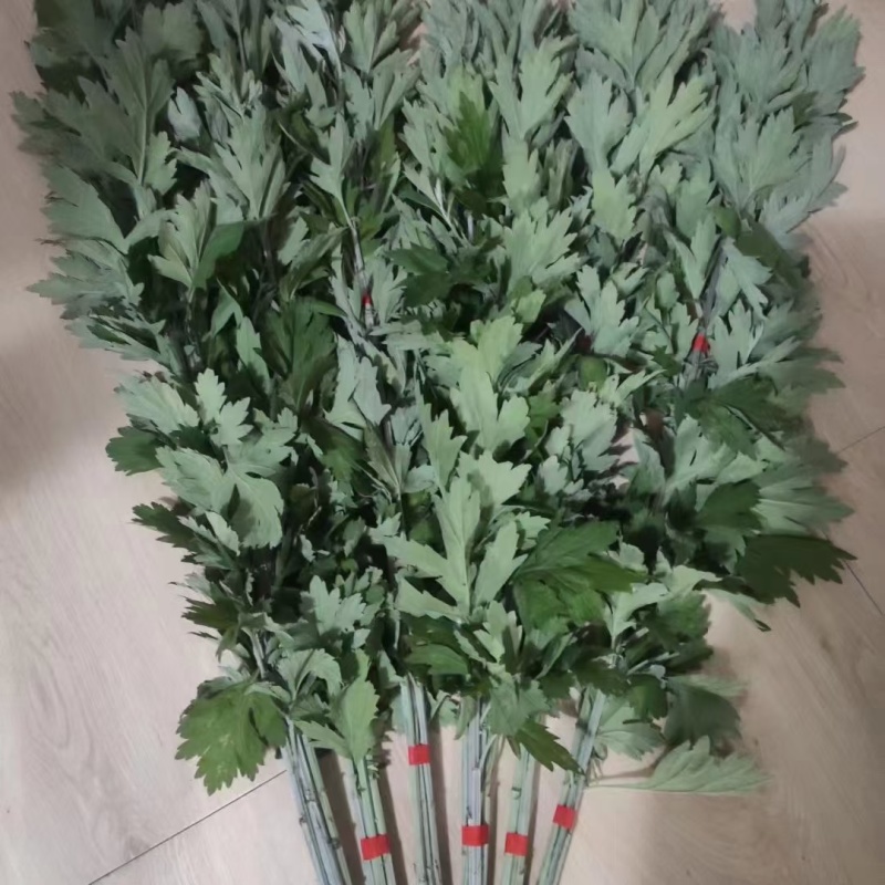 精品野生艾草开始上市了