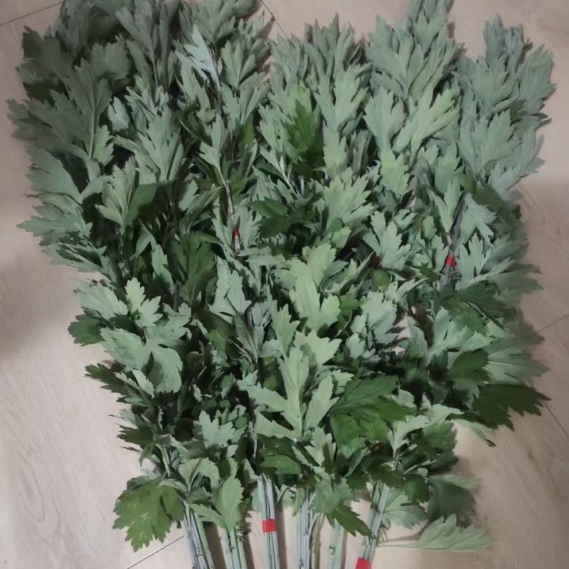 精品野生艾草开始上市了