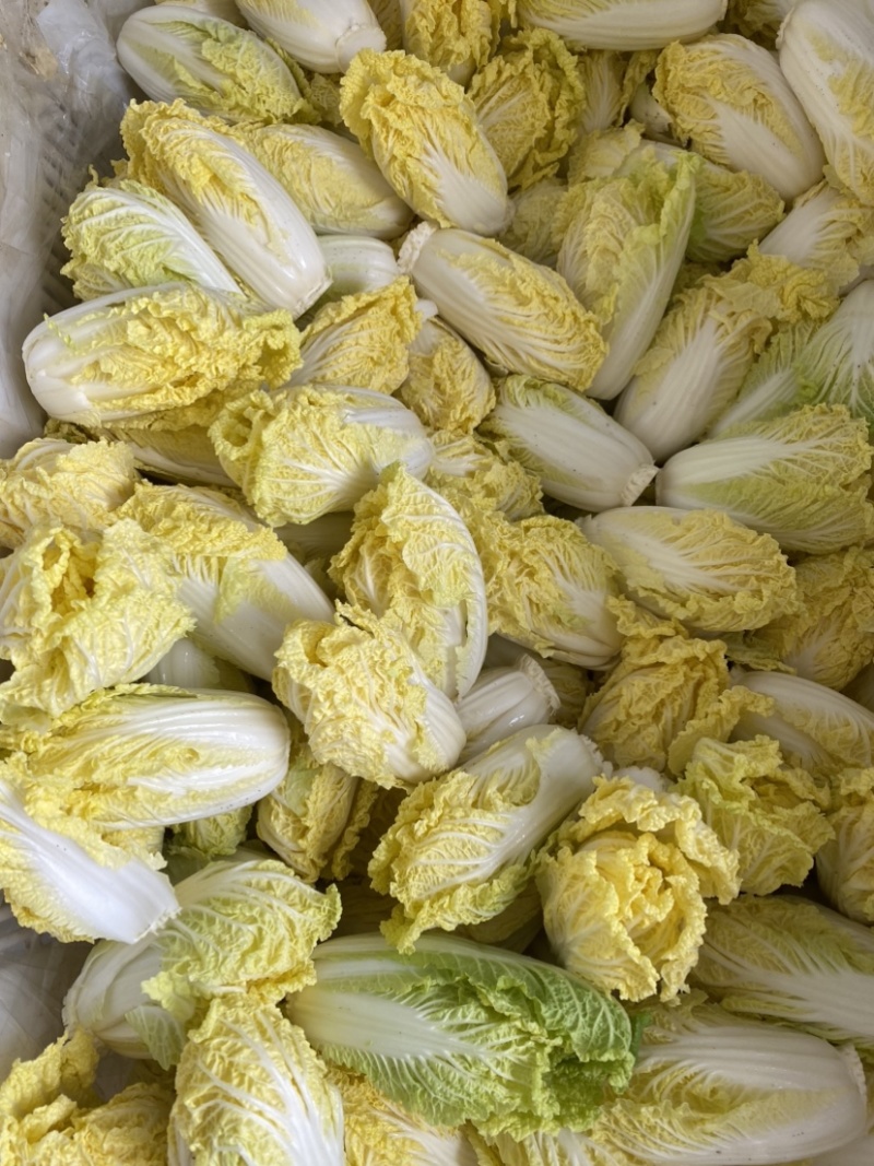 黄金娃娃菜4颗250g